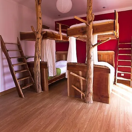 Auberge de jeunesse Tribo Da Praia - Almagreira Surf *