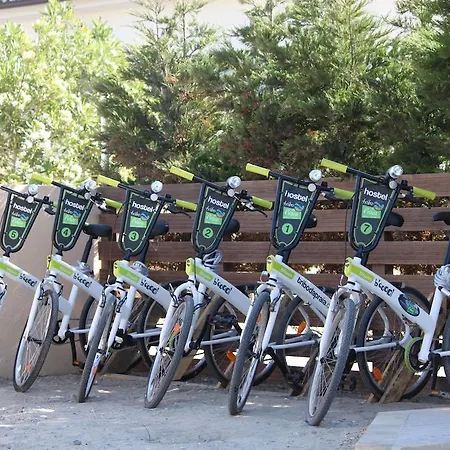 Albergue Tribo Da Praia - Almagreira Surf *