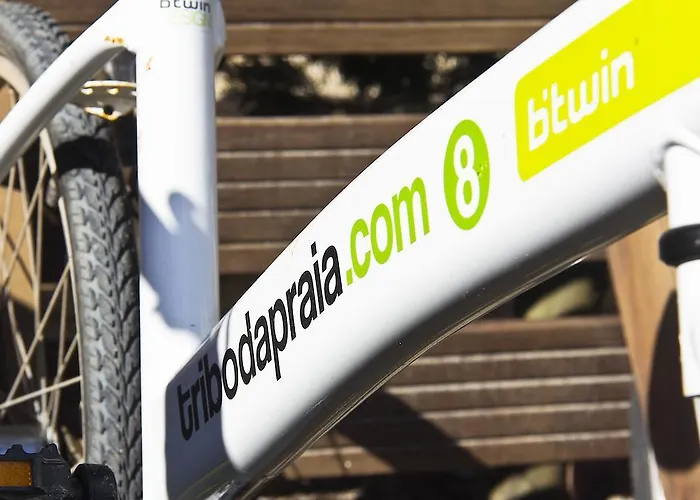 Tribo Da Praia - Almagreira Surf